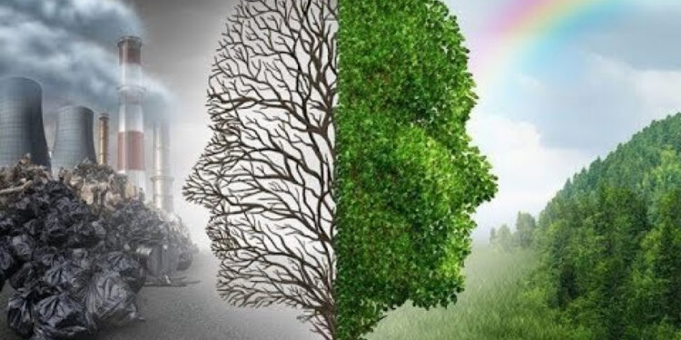 “ҚАЗАҚТАР БІЛГЕН”: КӨШ – ТАБИҒАТТЫ ҚОРҒАУДЫҢ ЕҢ ҰТЫМДЫ ТӘСІЛІ