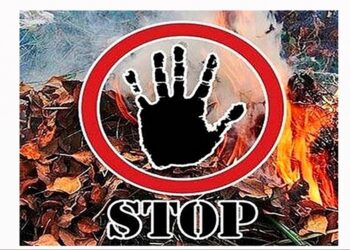 ЭКОЛОГИЯЛЫҚ КОДЕКС: ҚОҚЫСҚА КӨЗҚАРАС ӨЗГЕРЕ МЕ?