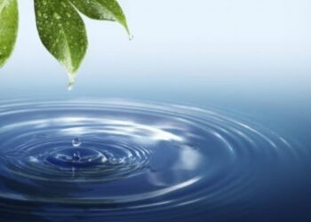 ДЕНСАУЛЫҚҚА ПАЙДАСЫ ДӘЛЕЛДЕНГЕН: АЛМАТЫ ОБЛЫСЫНДАҒЫ ШИПАЛЫ СУ КӨЗДЕРІ