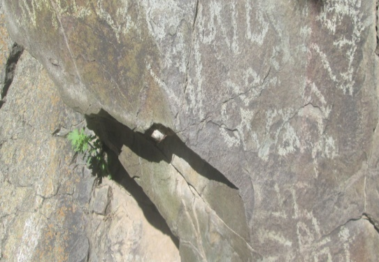 ЫРҒАЙЛЫ  САЙ ЖАРТАС СУРЕТТЕРІ