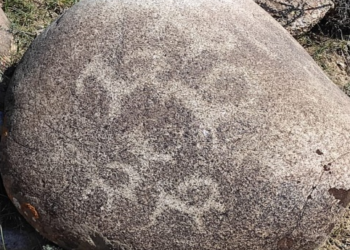 ТАЛДЫ  ЖАРТАС СУРЕТТЕРІ