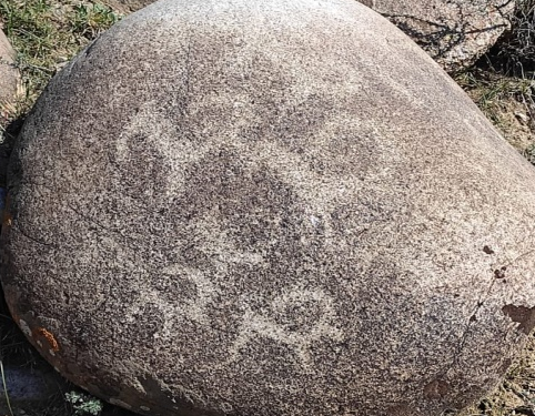 ТАЛДЫ  ЖАРТАС СУРЕТТЕРІ