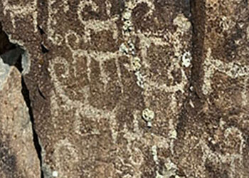 Жартас суреттерінің жаңа шоғыры анықталды