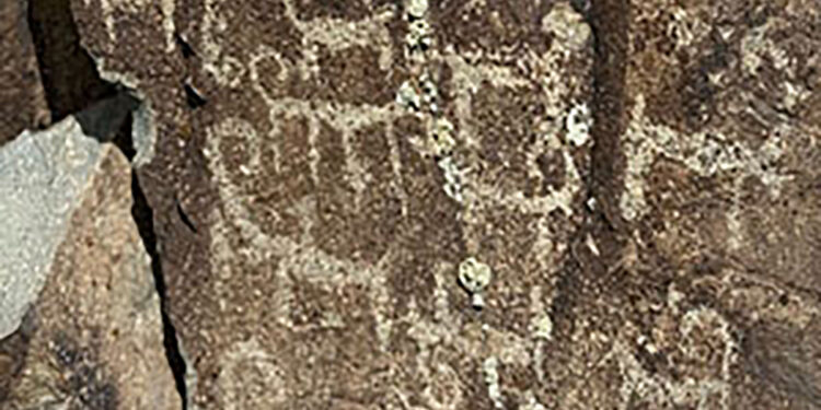 Жартас суреттерінің жаңа шоғыры анықталды