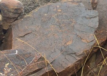 NAIZATAPQAN JARTAS SURETTERI