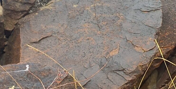 NAIZATAPQAN JARTAS SURETTERI