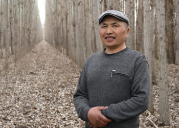 Еркіннің көктерегі