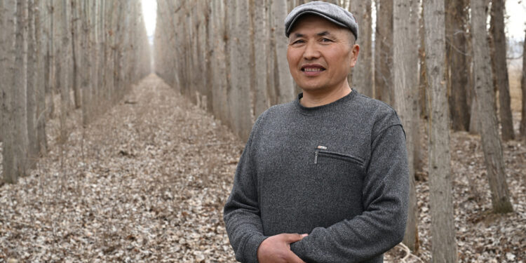 Еркіннің көктерегі