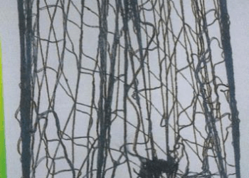 ҰЛТАРАҚТЫҢ БҮРКІТ ҰСТАЙТЫН ТОРЫ