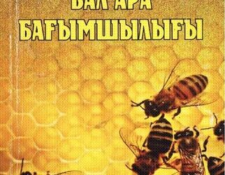 Бал ара бағымшылығы