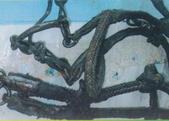 Алты өрмелі, таспа жүген